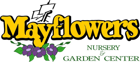 Mayflowers Nursery & Garden Center